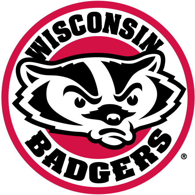Wisconsin Badgers 2002-Pres Alternate Logo v2 iron on transfers for T-shirts...